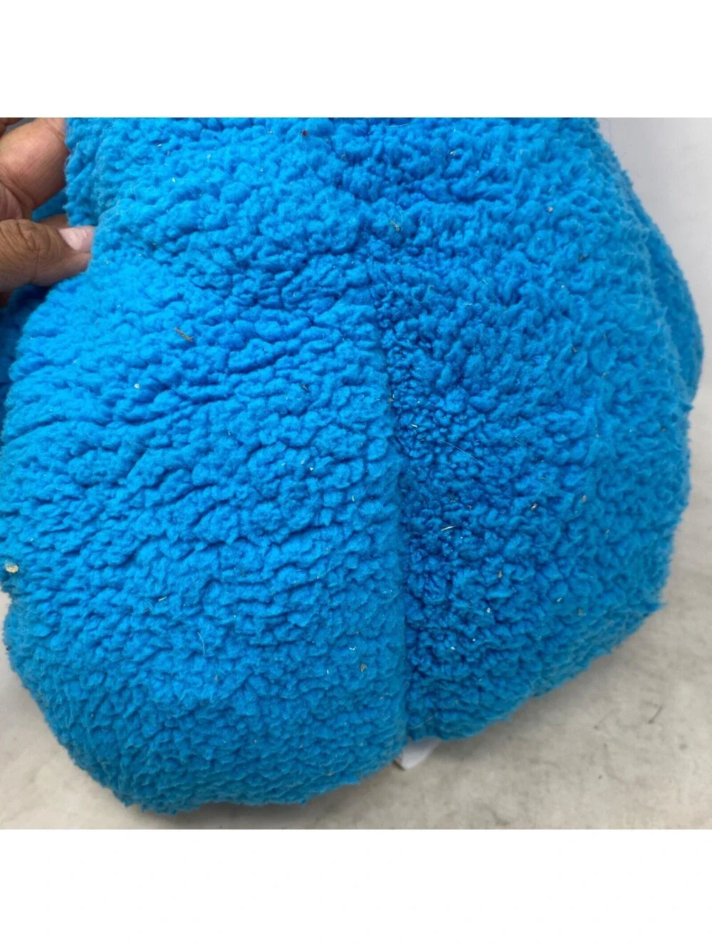 Sesame Street Character Pillow Cuddle Buddy 24